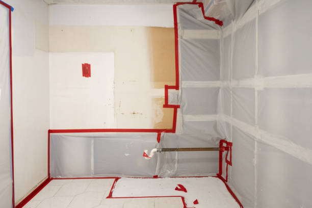 Trusted Fort Drum, NY Mold Removal Experts