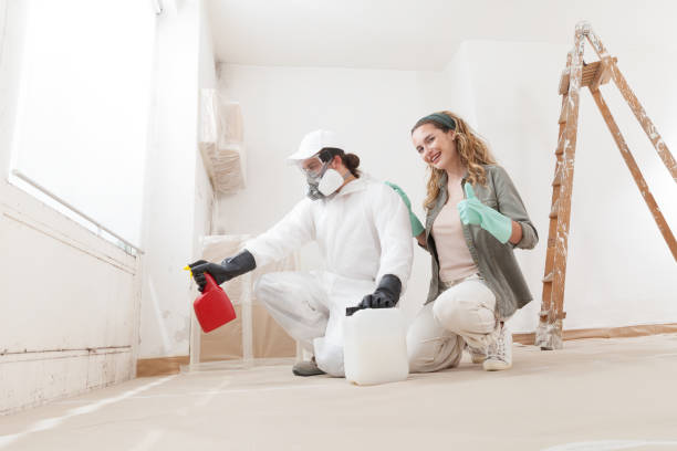 Best Black Mold Removal  in Fort Drum, NY